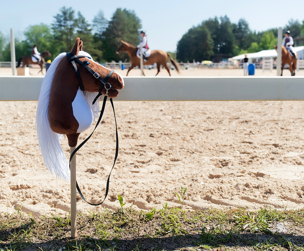 Personnaliser Hobby Horse: 5 façons de rendre le vôtre unique