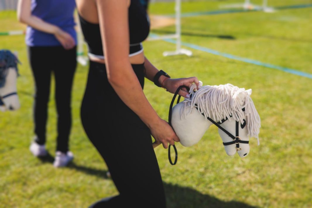 Guide d'achat choisir son premier hobby horse