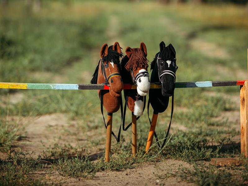 Hobby horse : qu’est-ce que c’est et pourquoi en acheter un ?